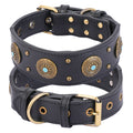 The Boujee Dog’s Retro Leather Collar Medium And Large Dogs