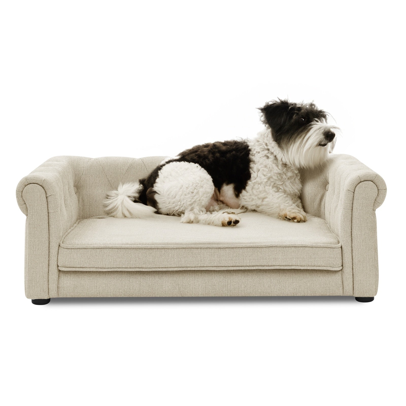 The Boujee Dog: Elegant Rectangle Luxury Pet Bed